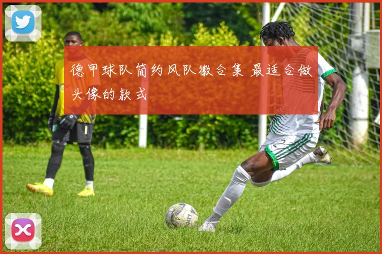 德甲球队简约风队徽合集 最适合做头像的款式