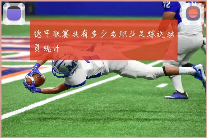 德甲联赛共有多少名职业足球运动员统计