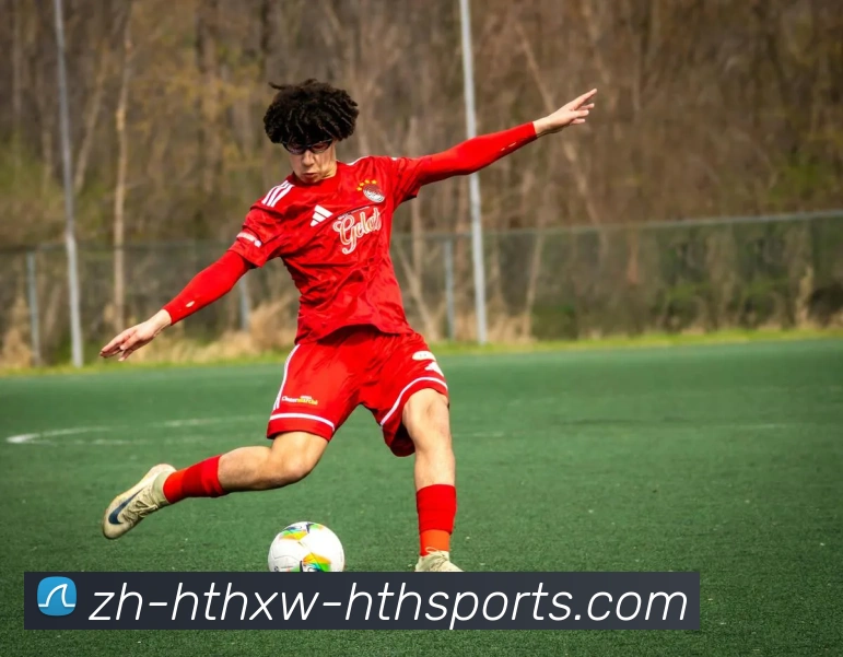 华体会平台生态图